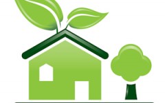 franquia de produtos naturais
