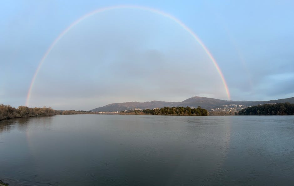 Imagem relacionada a alimentação do ativo franquia Casa do Pão de Queijo