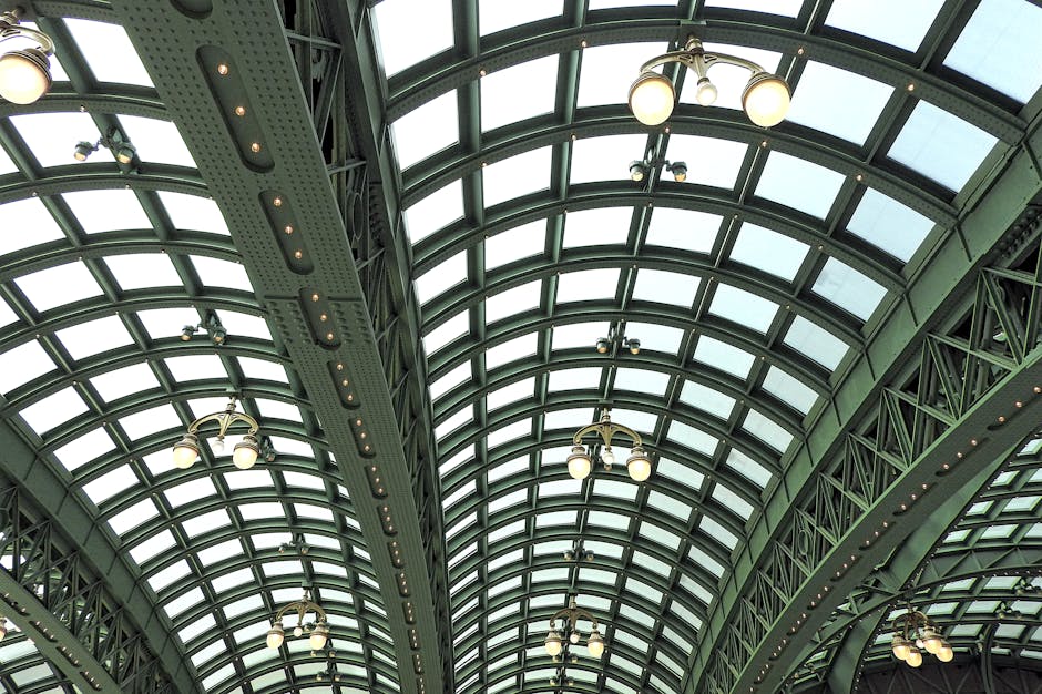 Imagem relacionada a empreendedorismo do ativo franquia Açaí Concept