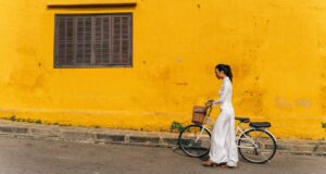 franquia Açaí Concept