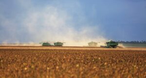 franquia Burger King