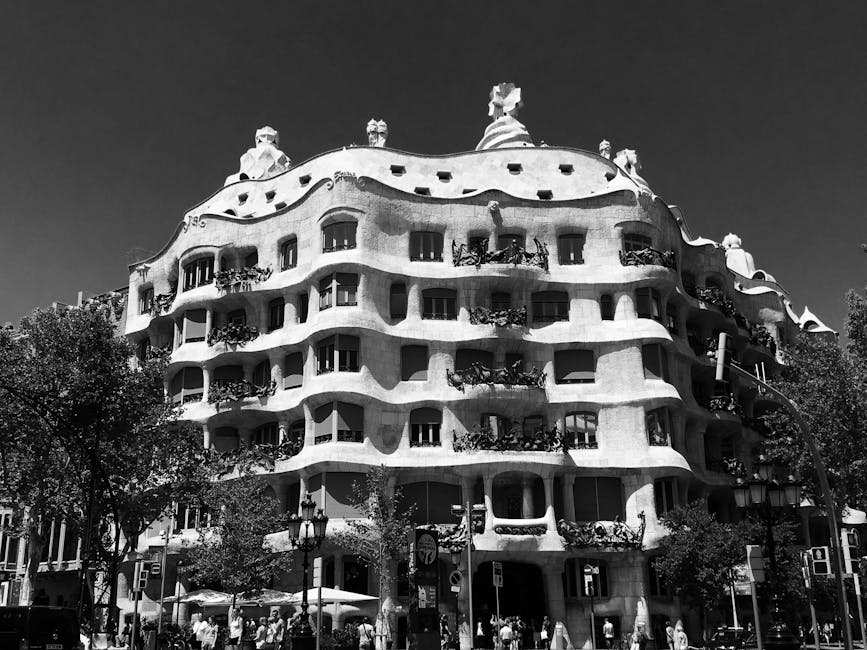 Imagem relacionada a sucesso empresarial do ativo franquia Patroni Pizza