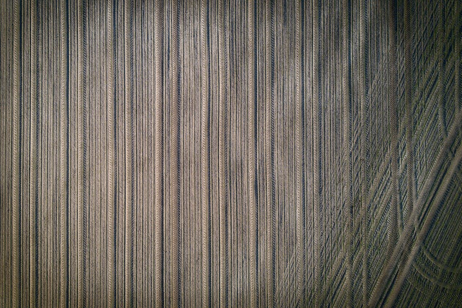 Imagem relacionada a sucesso empresarial do ativo franquia Localiza