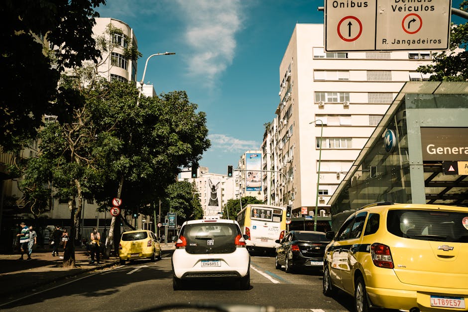 Imagem relacionada a alimentação - fast food do ativo franquia Bob's