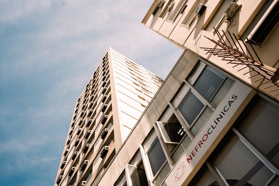 Imagem relacionada a sucesso empresarial do ativo franquia Bob's